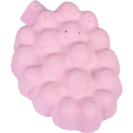 Knaagsteen druif 60g 