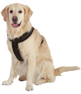 Asp cross tuig zwart 42-50cm15mm xs/s