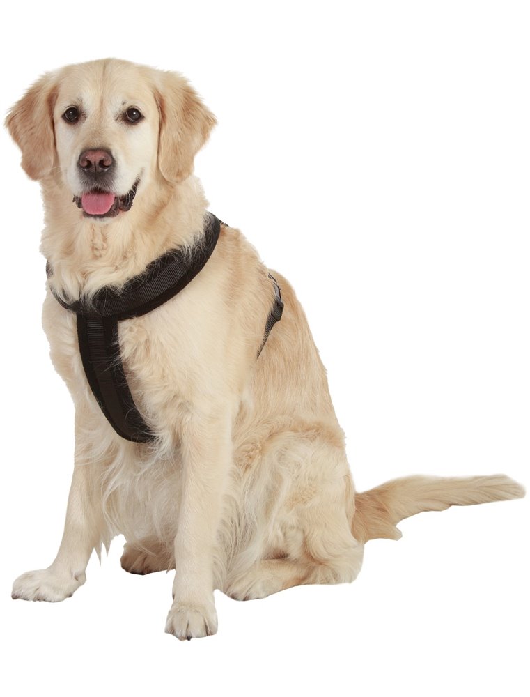 Asp cross tuig zwart 70-90cm25mm l