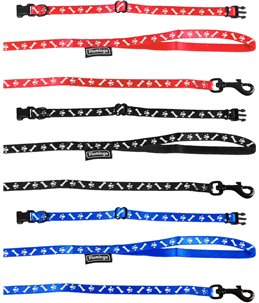 Puppyhalsband en looplijn nylon