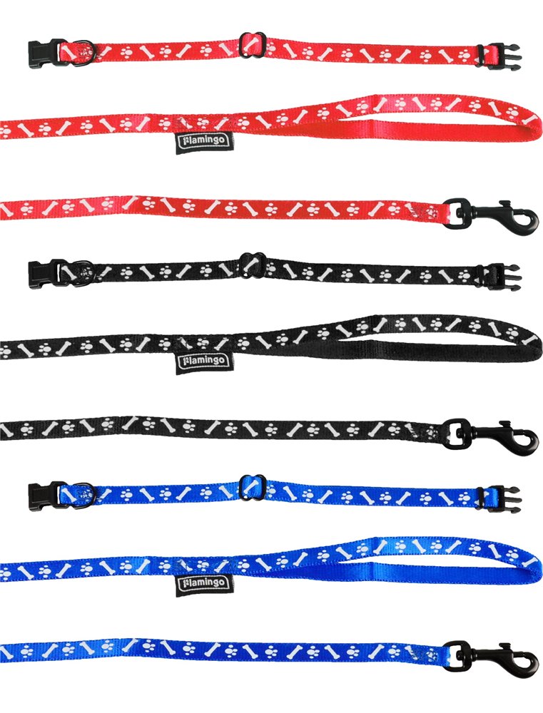 Puppyhalsband en looplijn nylon