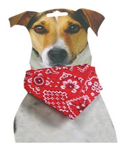 Halsband met bandana rood 25/40 cm