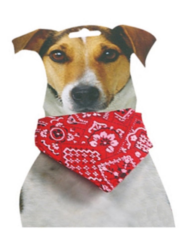 Halsband met bandana rood 40/65 cm