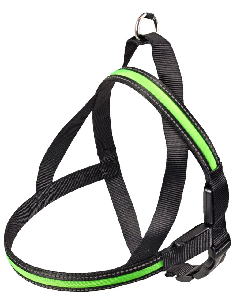 Safety harnas led groe 60-75cm25mm