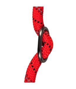 Rover halsband rimo rood 65cm12 mm 