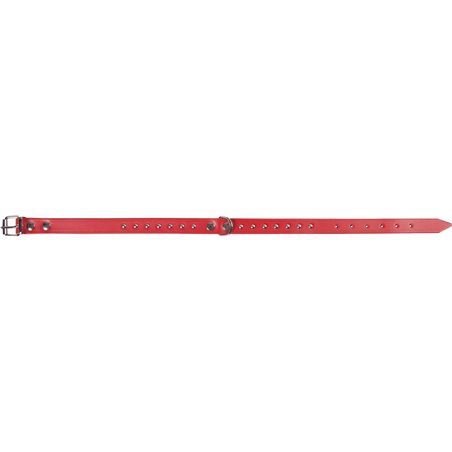 Rondo halsband klinkn. rood 32cm10mm 