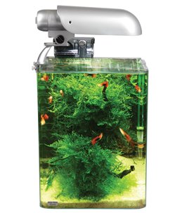 Cocoon aquarium leeg nr 1 - 20x20x25cm