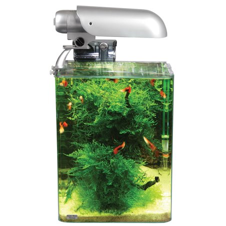 Cocoon aquarium leeg nr 1 - 20x20x25cm