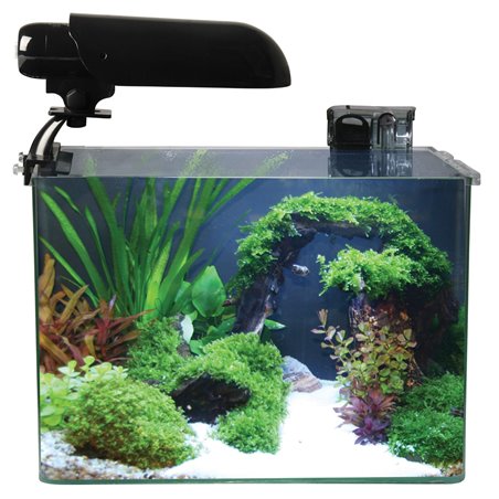 Cocoon aquarium leeg nr 4 - 30x19x25cm