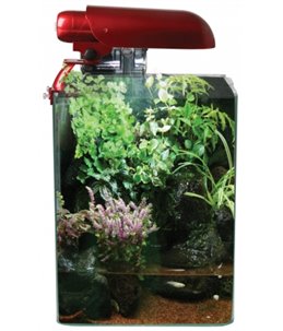 Cocoon aquarium nr 2 leeg