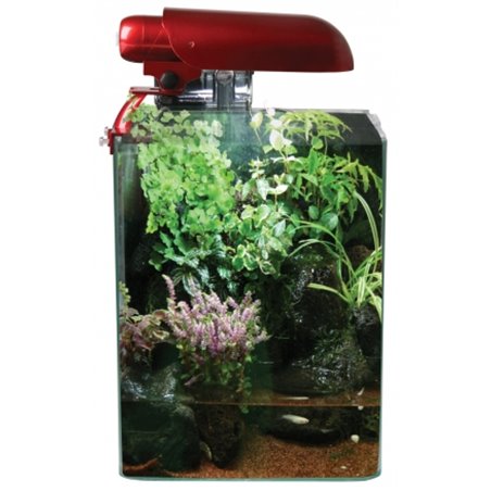 Cocoon aquarium leeg nr 2 - 25x25x30cm