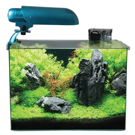 Cocoon aquarium leeg nr 5 - 35x22x28cm