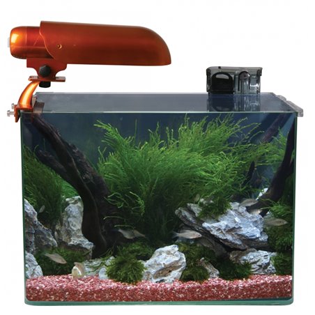 Cocoon aquarium leeg nr 6 - 40x26x30cm