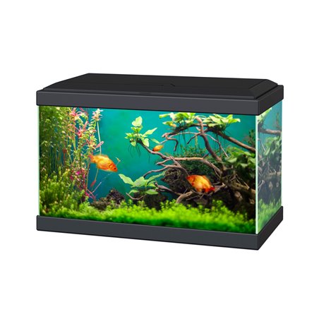 Aquarium aqua 20 classic