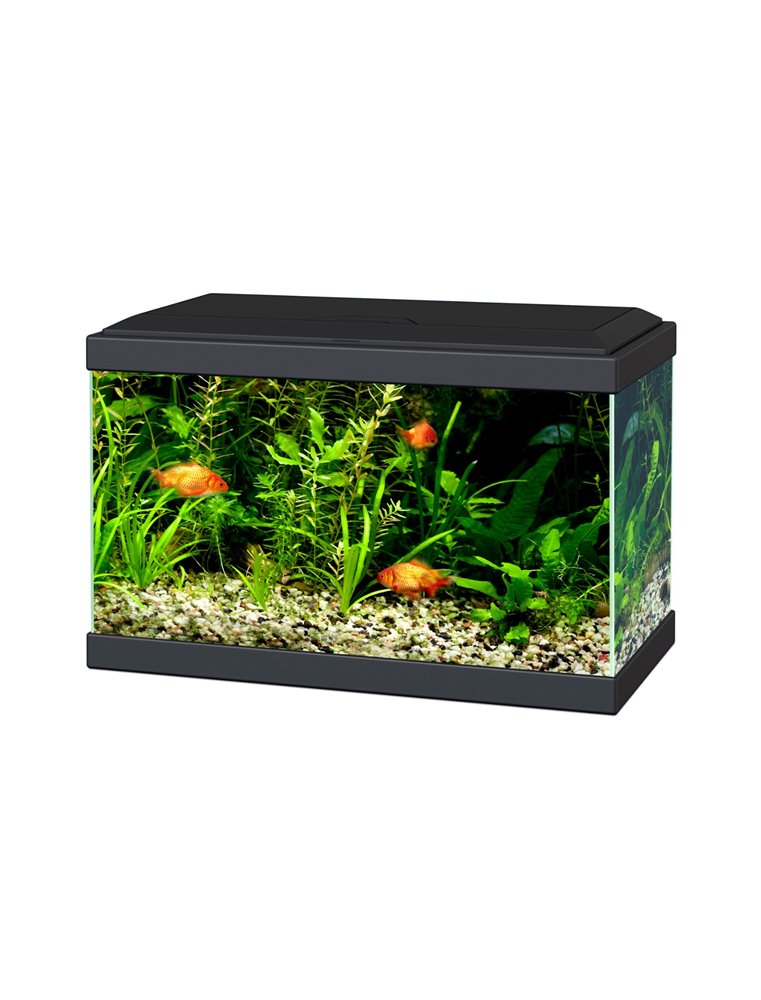 Aquarium aqua 20 led