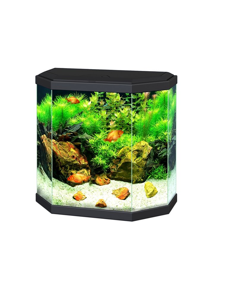 Aquarium aqua 30 led