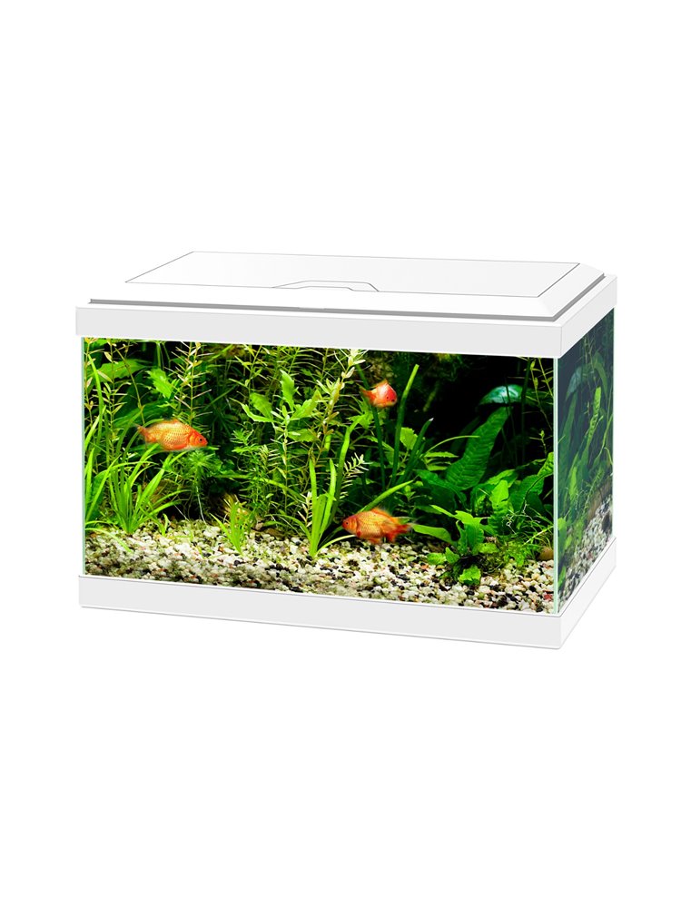 Aquarium aqua 20 led