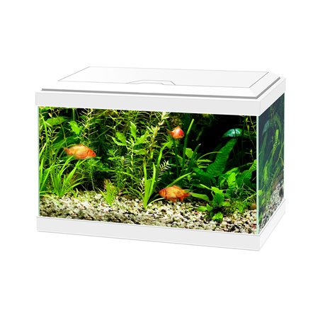 Aquarium aqua 20 led