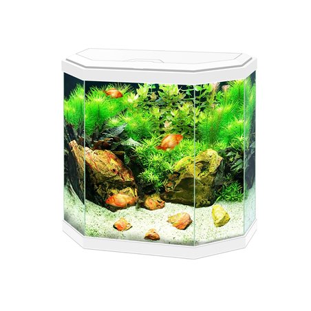 Aquarium aqua 30 led