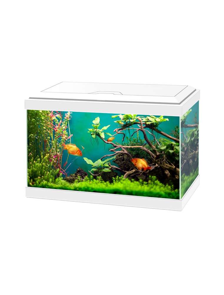 Aquarium aqua 20 classic