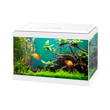 Aquarium aqua 20 classic