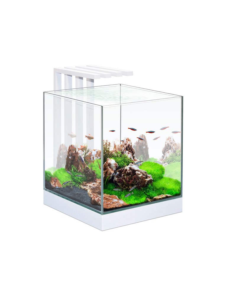 Aquarium nexus pure 25 led