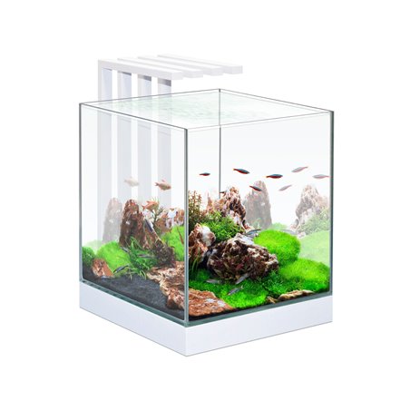 Aquarium nexus pure 25 led