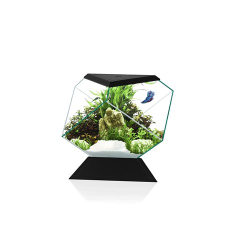 Aquarium nexus betta 5c
