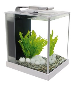 Fluval spec 3 nano aquarium 10l
