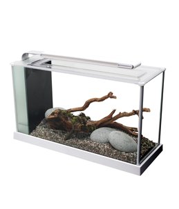 Fluval spec 5 nano aquarium 19l