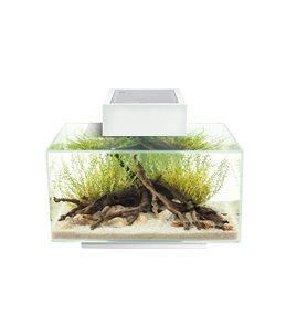 Fluval edge i 2.0 aquariumkit 23l