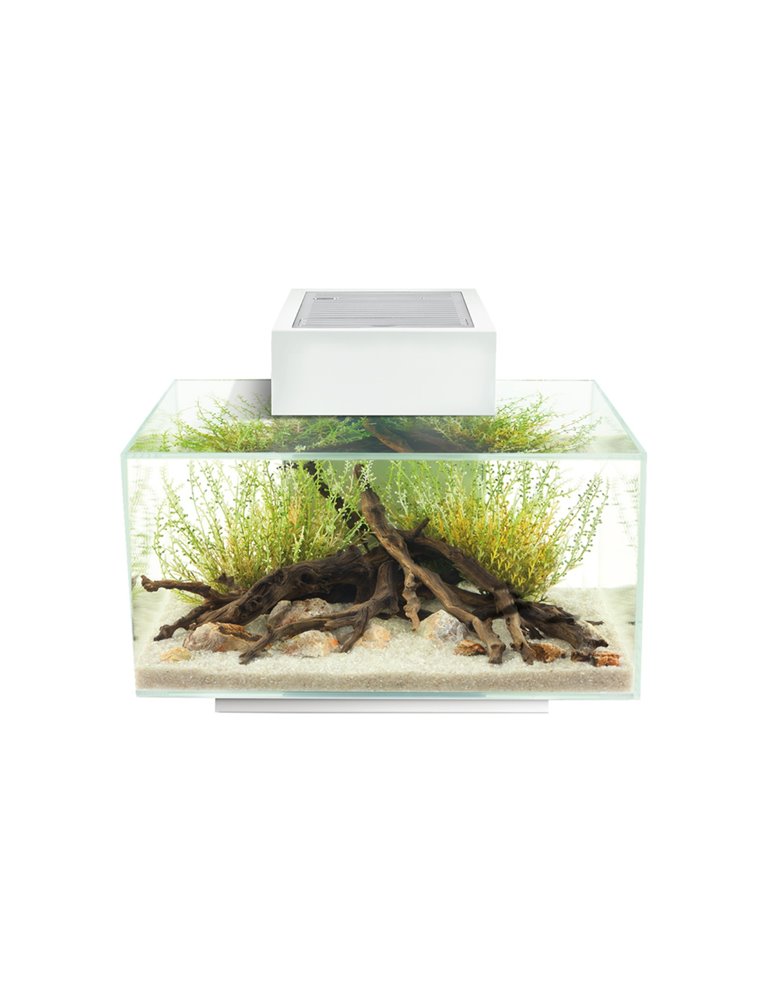 Fluval edge i 2.0 aquariumkit 23l