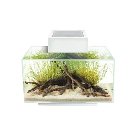 Fluval edge i 2.0 aquariumkit 23l