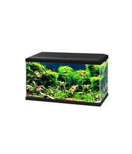 Aquarium 60 led cf80