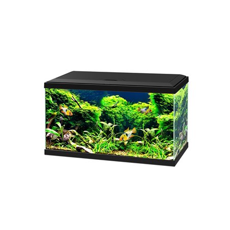 Aquarium 60 led cf80