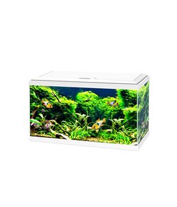 Aquarium 60 led cf80