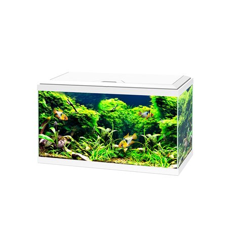 Aquarium 60 led cf80