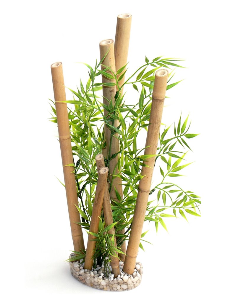 Sydeco bamboo xl plants