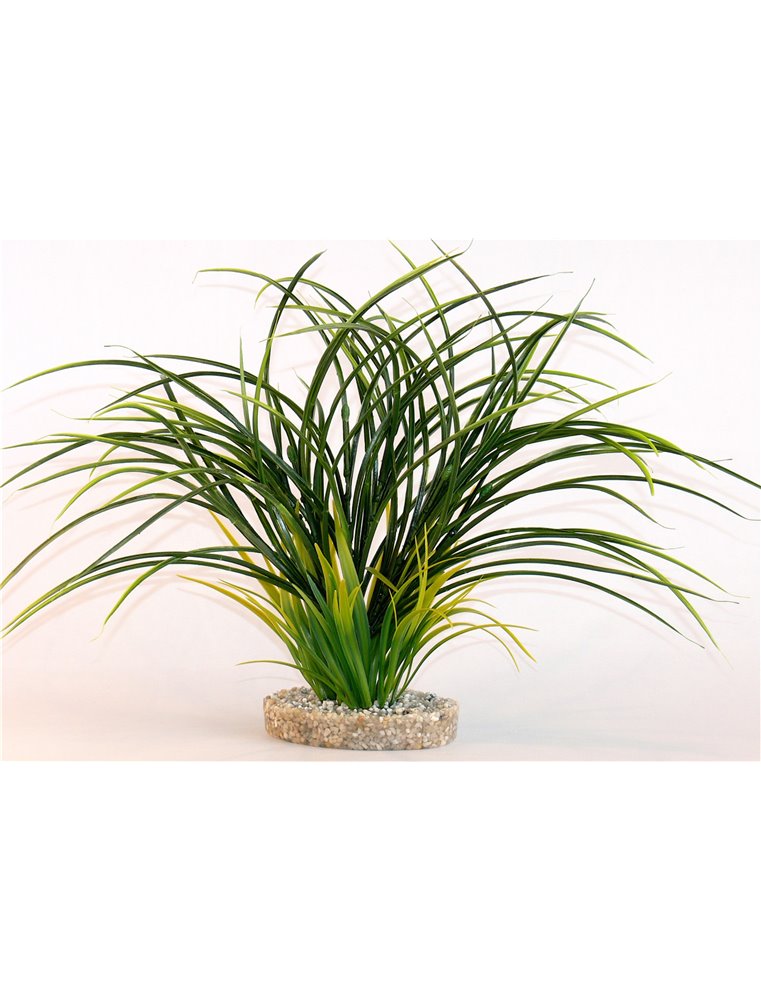 Sydeco fan grass