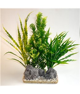 Sydeco aloe vera giant