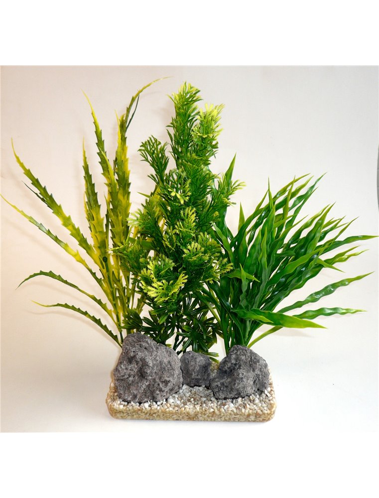 Sydeco aloe vera giant