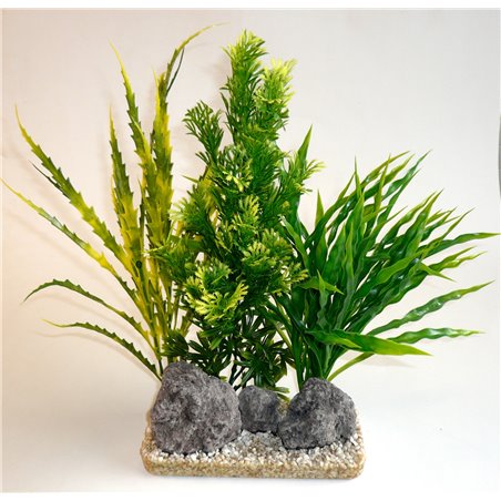 Sydeco aloe vera giant