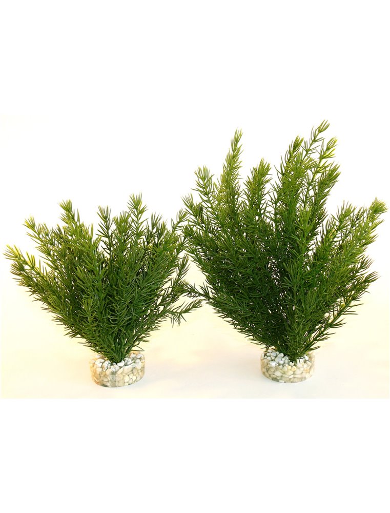 Sydeco club moss large