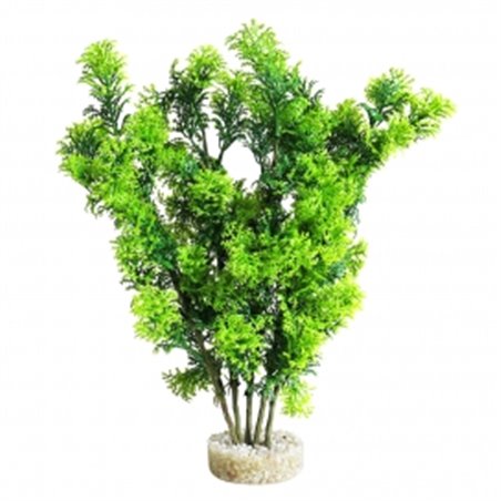 Sydeco club moss maxi