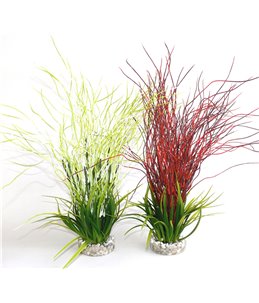 Sydeco water hair grass