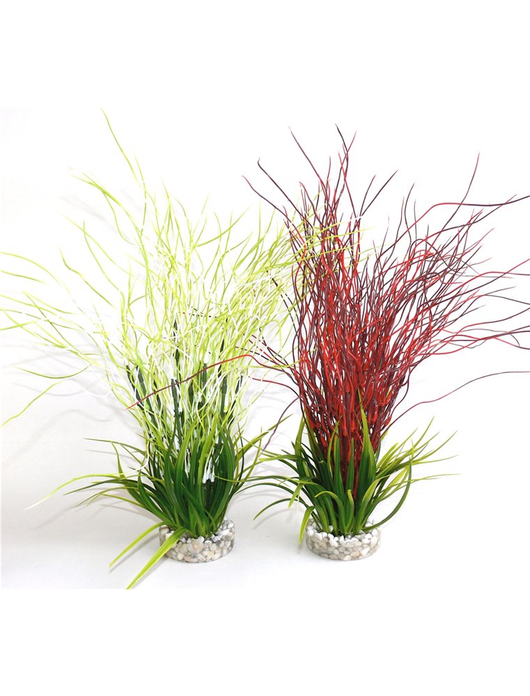 Sydeco water hair grass