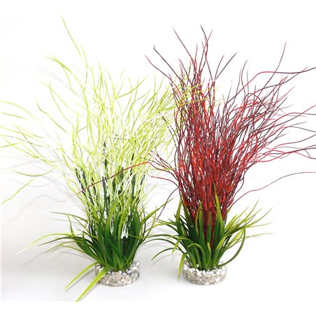 Sydeco water hair grass