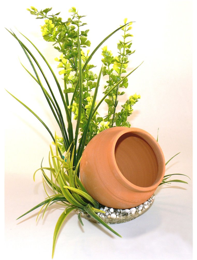 Sydeco jar plant