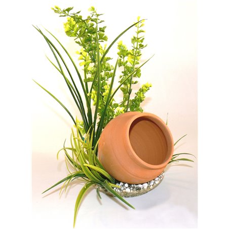 Sydeco jar plant