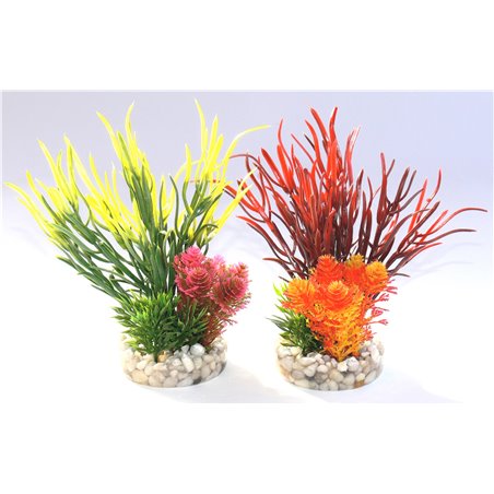 Sydeco composition sea grass